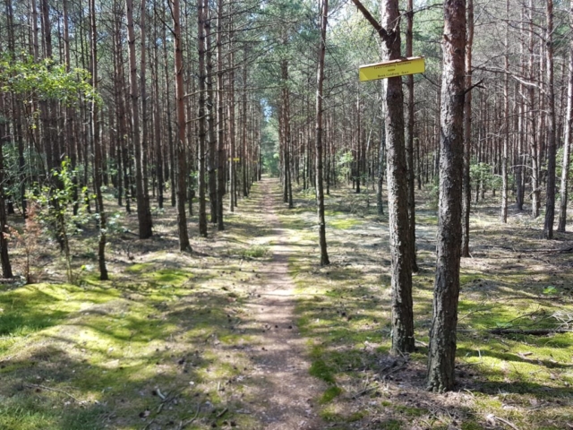 Szlak osad młyńskich i ekofarm nad Grabią - Pętla Środkowa - do cmentarza w Molendzie